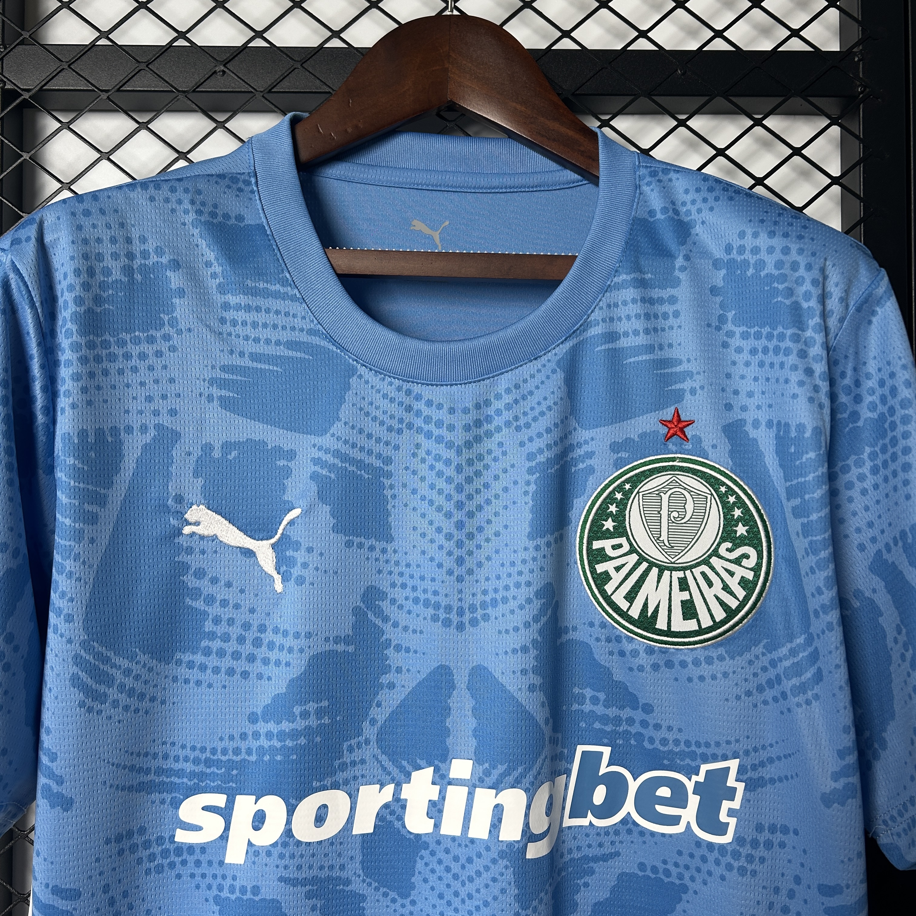 25/26 Palmeiras Goalkeeper jersey