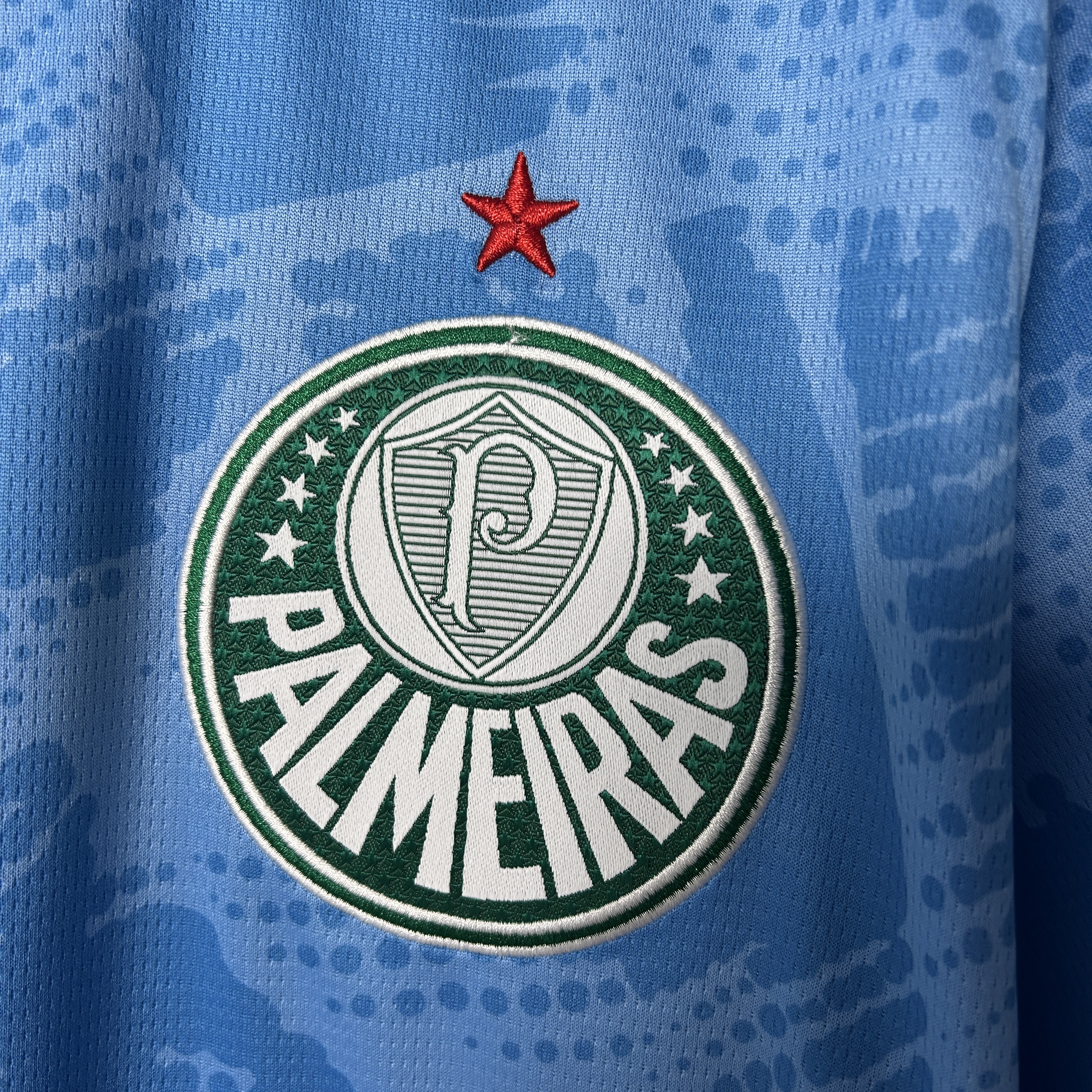 25/26 Palmeiras Goalkeeper jersey