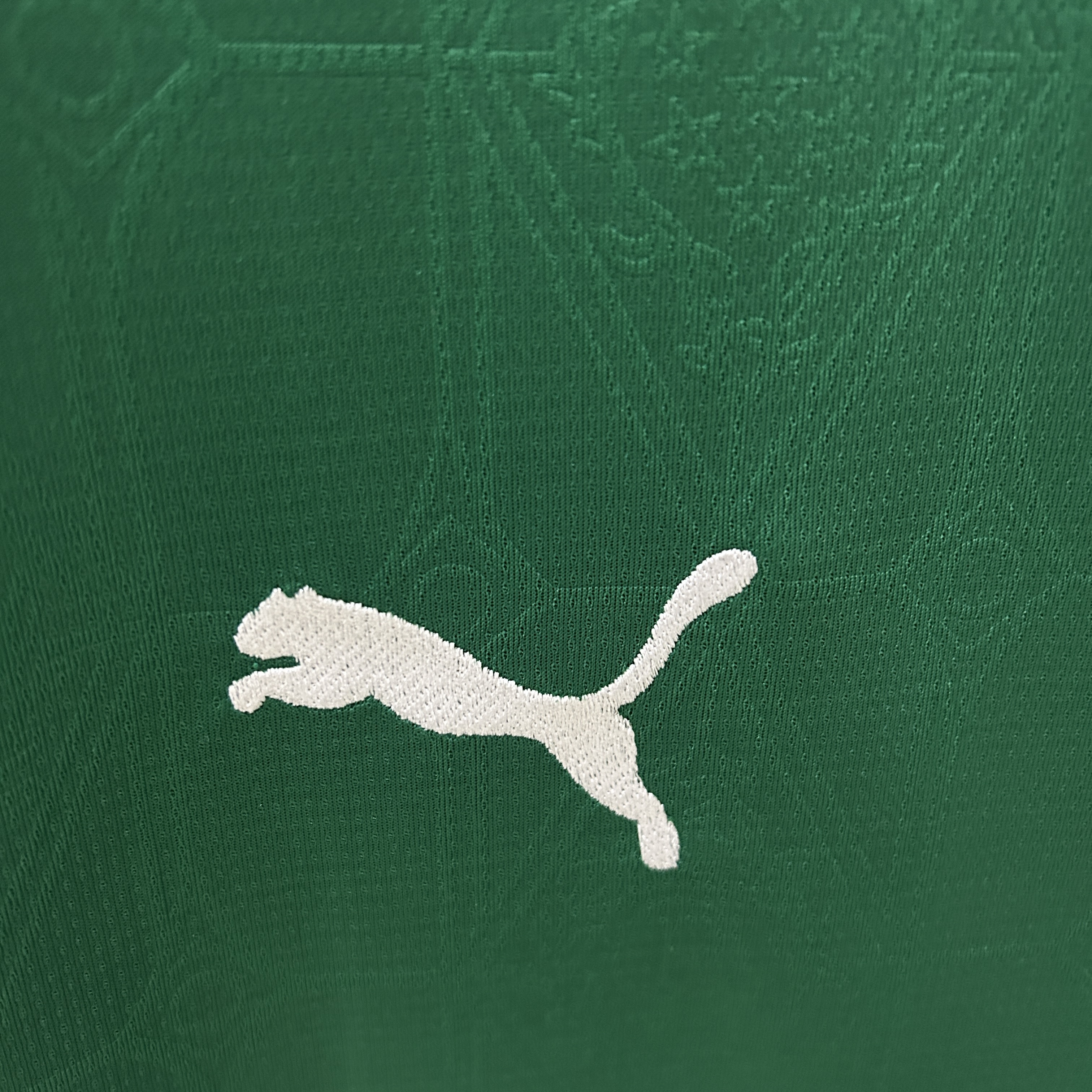 25/26 Palmeiras home All Sponsor  Jersey