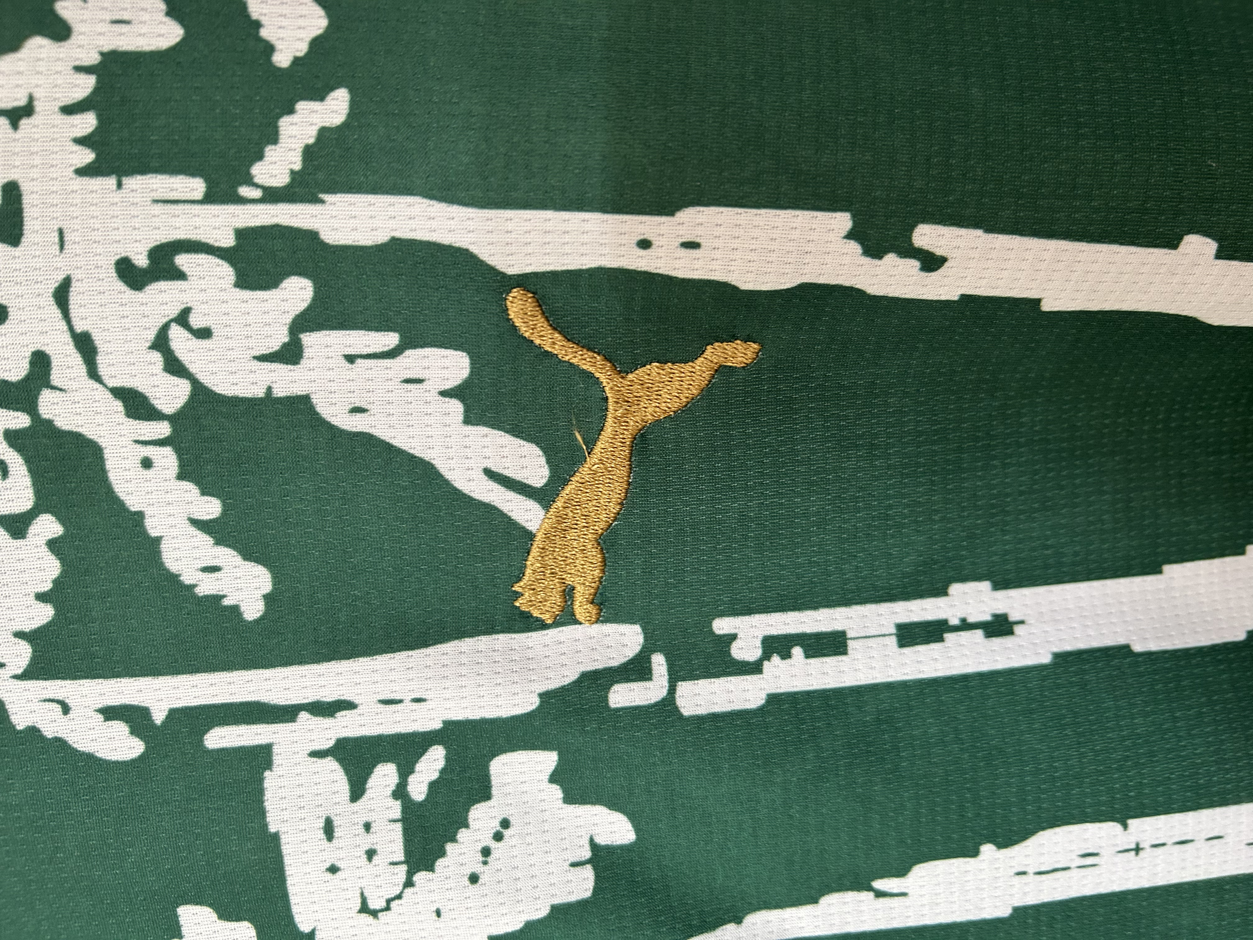 25/26 Palmeiras Special Edition Jersey