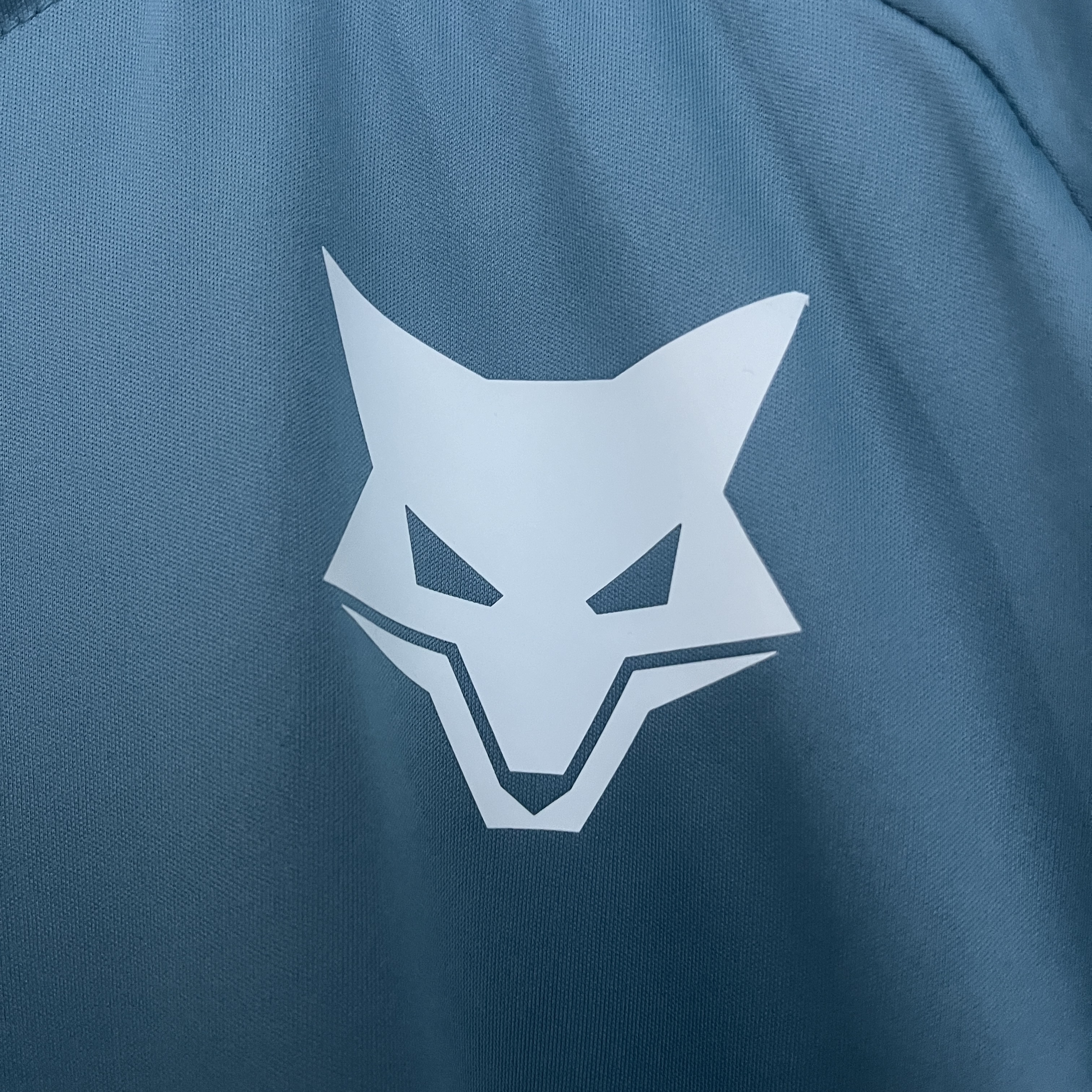 25/26 Cruzeiro training suit