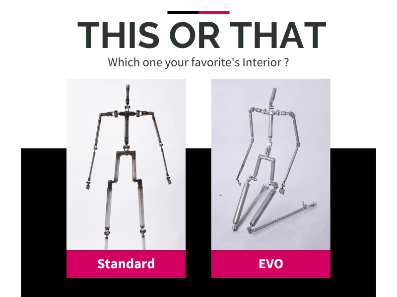 Standard vs EVO Skeletons
