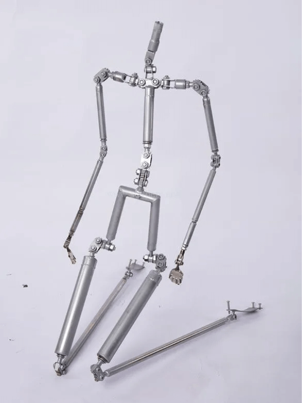 XdollCity EVO Skeleton