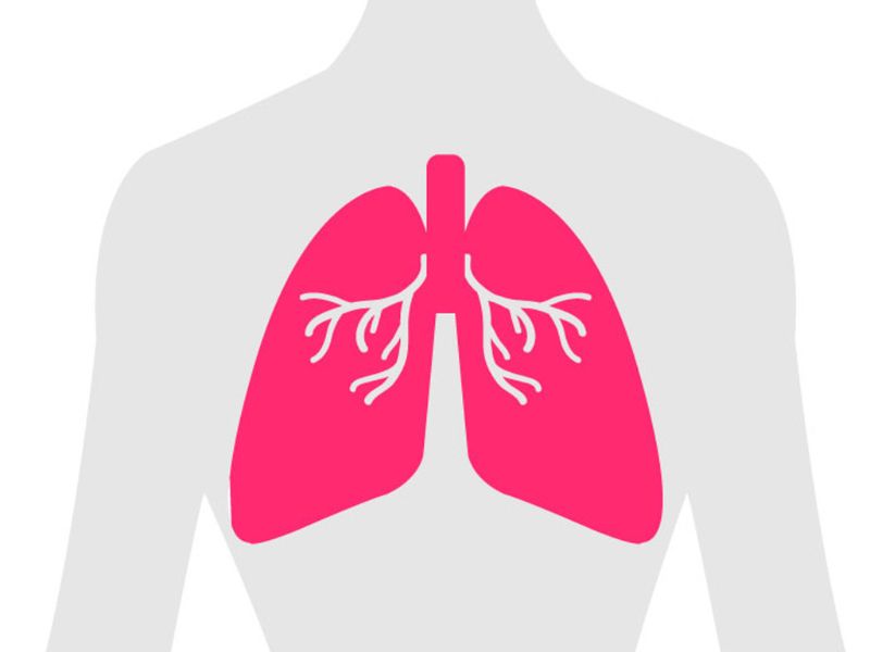 the Sex Doll Breathing System of XdollCity