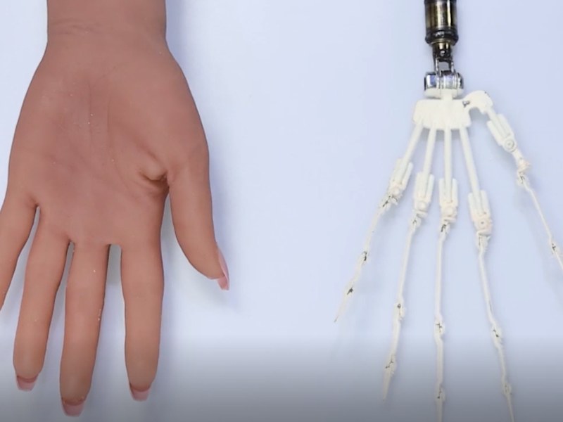 XdollCity Sex Doll with New Articulated Fingers