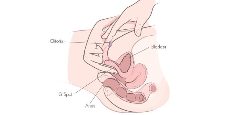 Illustration of internal touch as part of female masturbation techniques with come hither motion