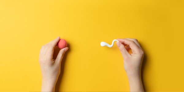 Home Insemination when premature ejaculation