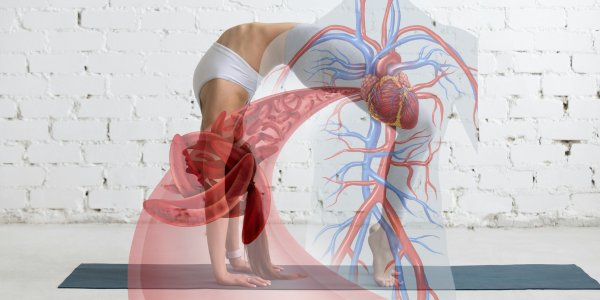 The Upside Down sex position may enhance arousal through the Cephalad Fluid Shift principle, where inversion increases brain congestion, similar to effects in yoga inversions