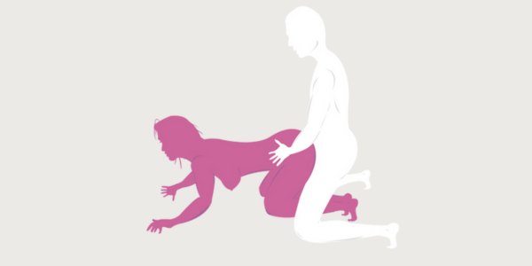 Basset Hound Sex Position