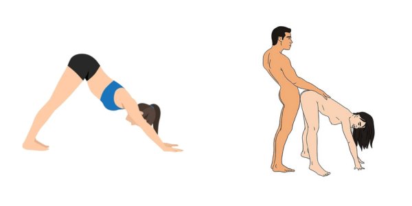 The downward dog sex position, inspired by the yoga pose Adho Mukha Svanasana