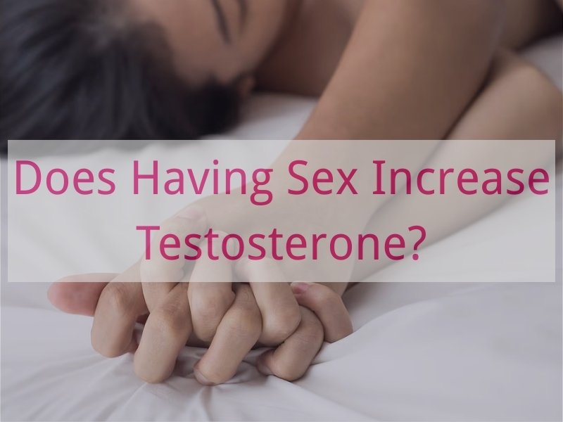 Does Having Sex Increase Testosterone