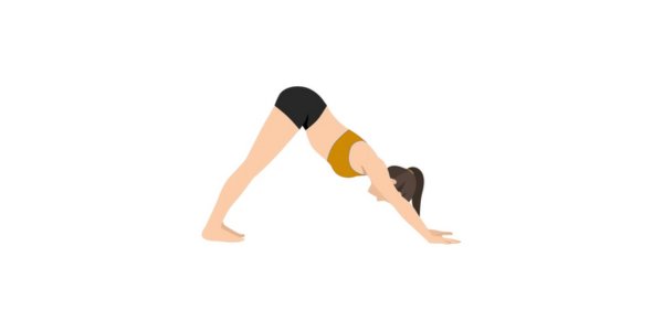 Feet and arms positioning in the downward dog sex position, enhancing submission and flexibility