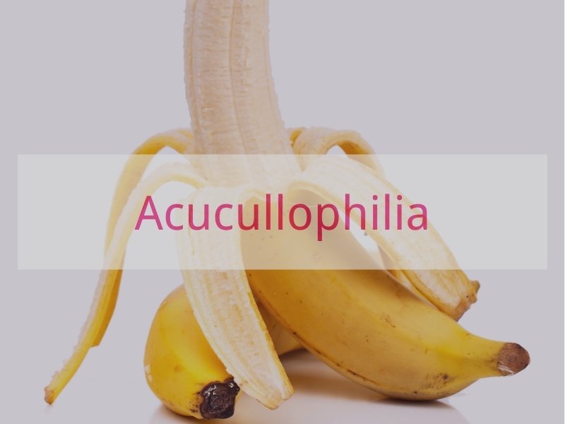 Acucullophilia