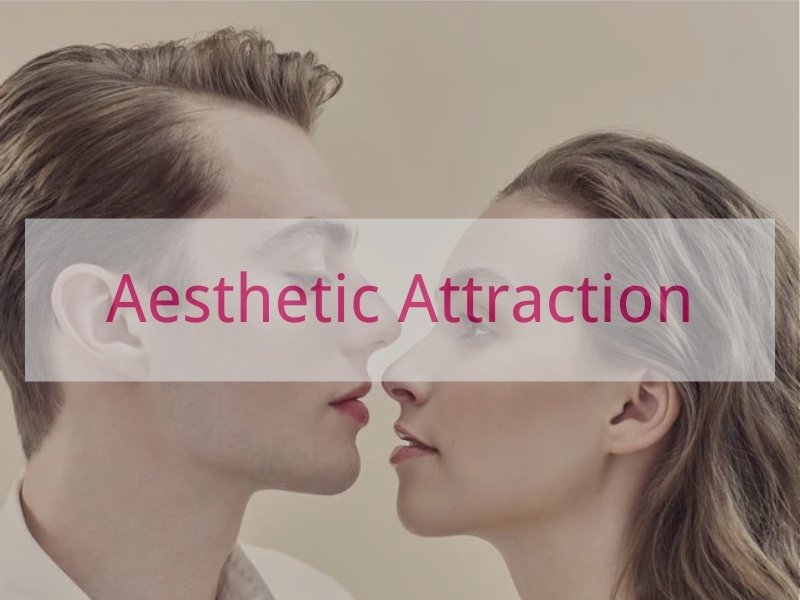 Aesthetic Attraction
