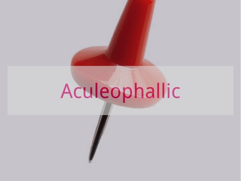Aculeophallic