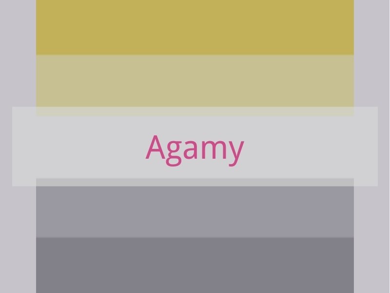 Agamy