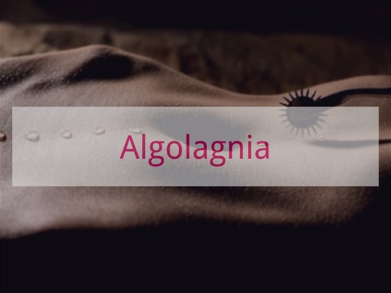 Algolagnia