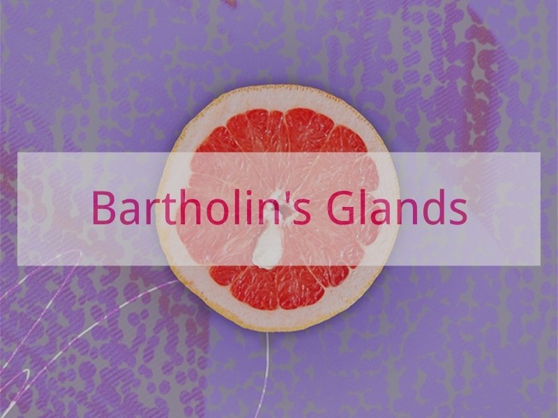 Bartholin's Glands