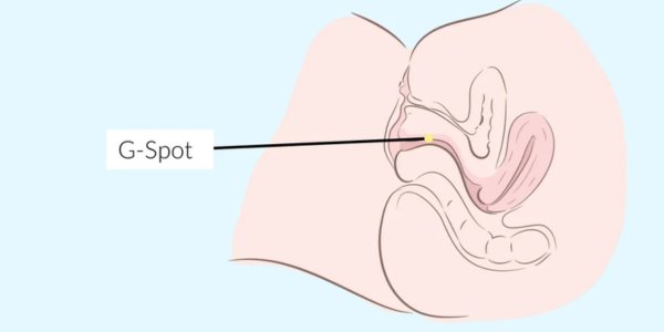 What is G-Spot