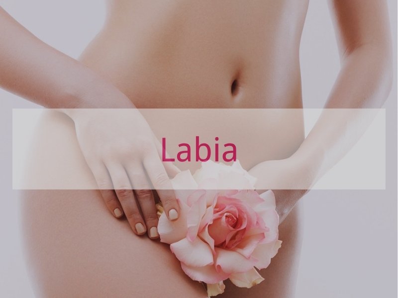 Labia