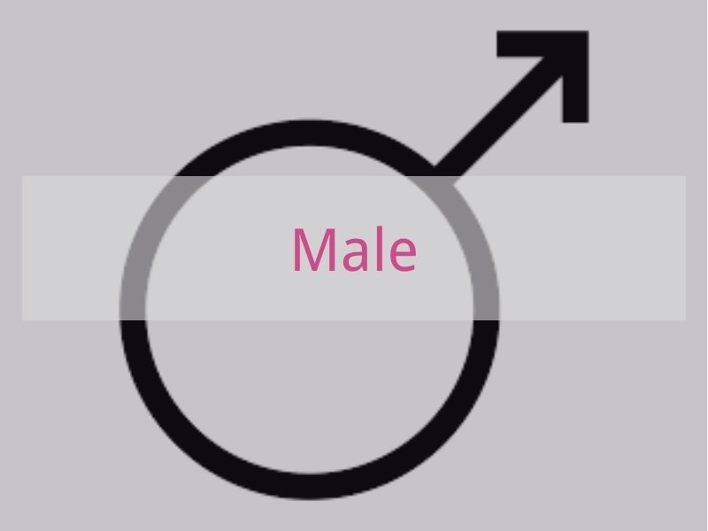 Male