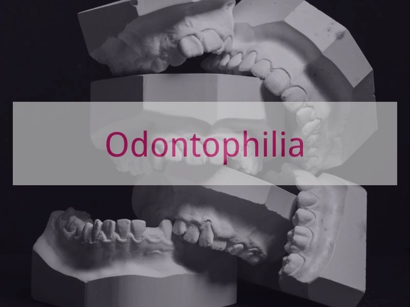 Odontophilia