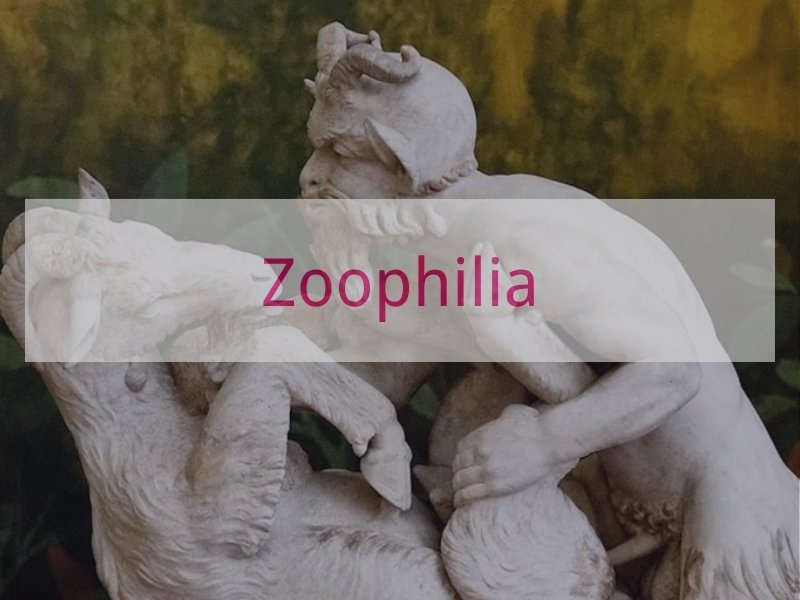 Zoophilia