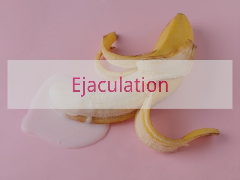Ejaculation