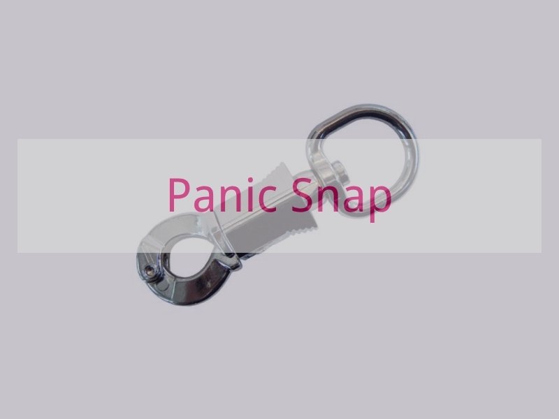 Panic Snap