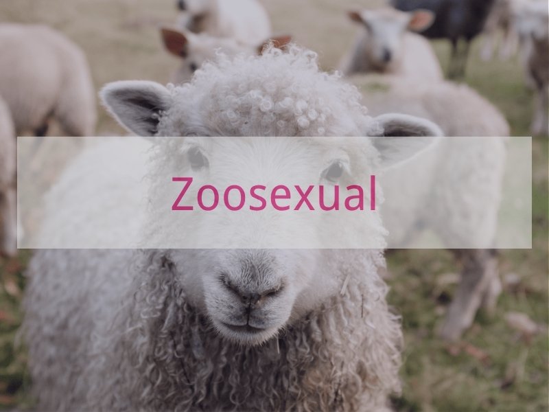 Zoosexual