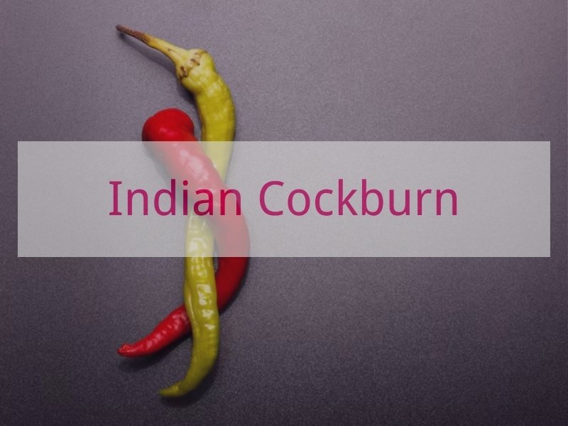 Indian Cockburn