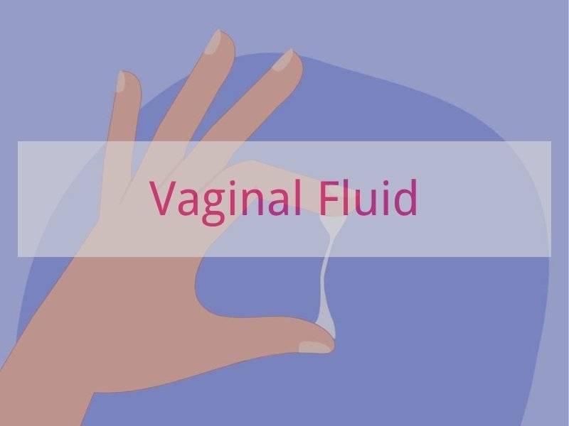 Vaginal Fluid