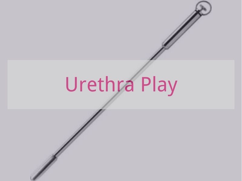 Urethra Play