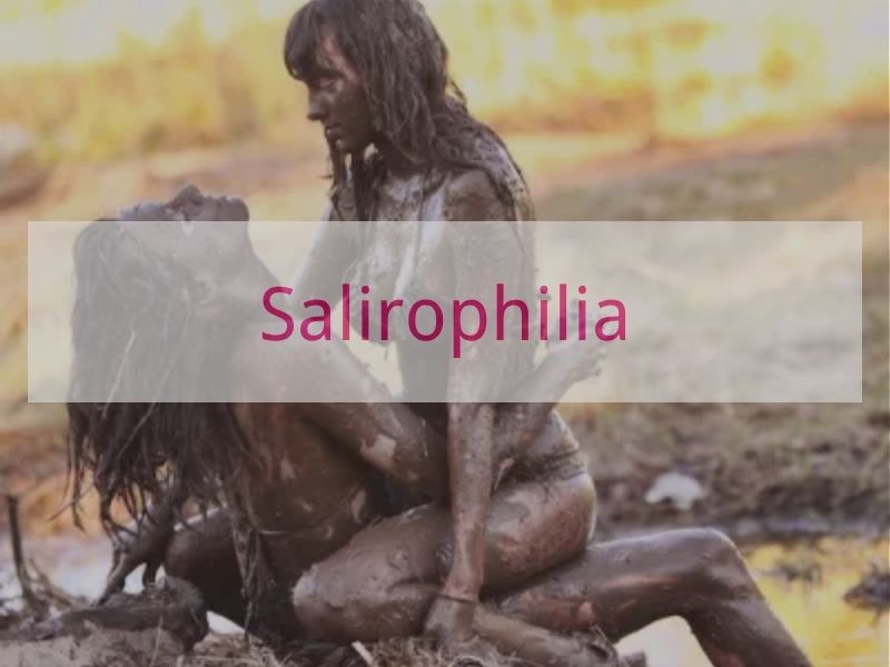 Salirophilia