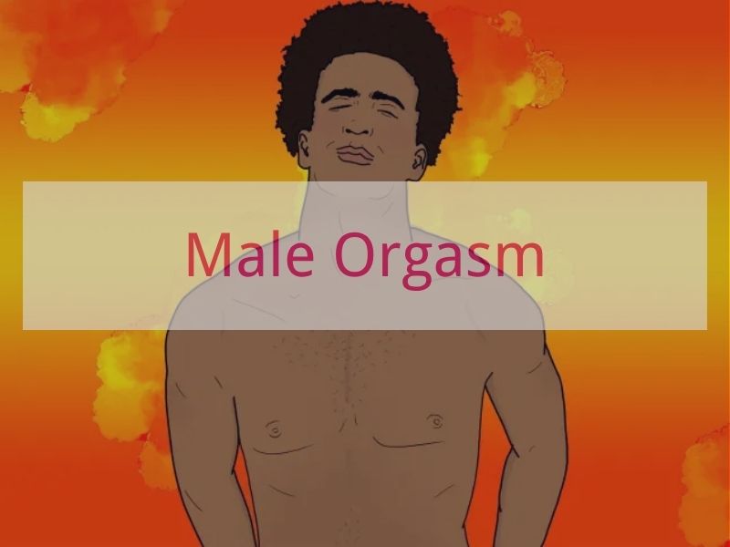 Male Orgasm