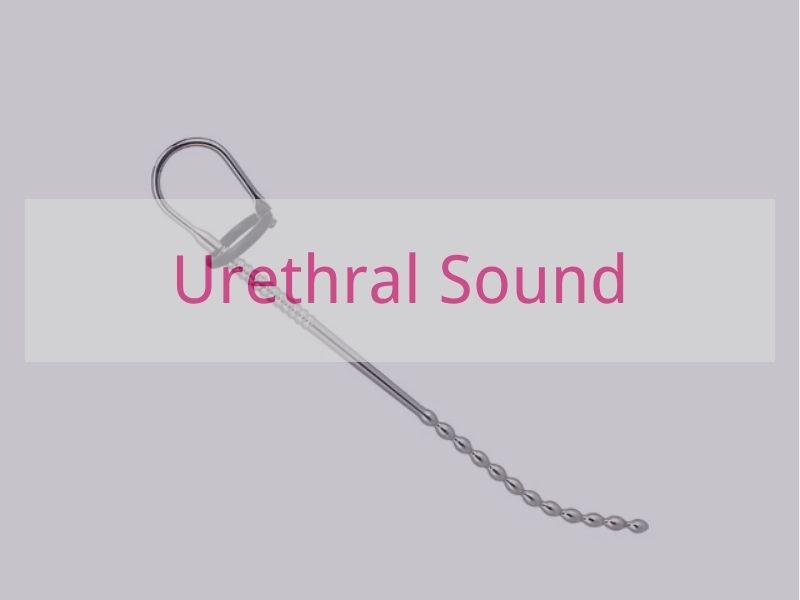 Urethral Sound