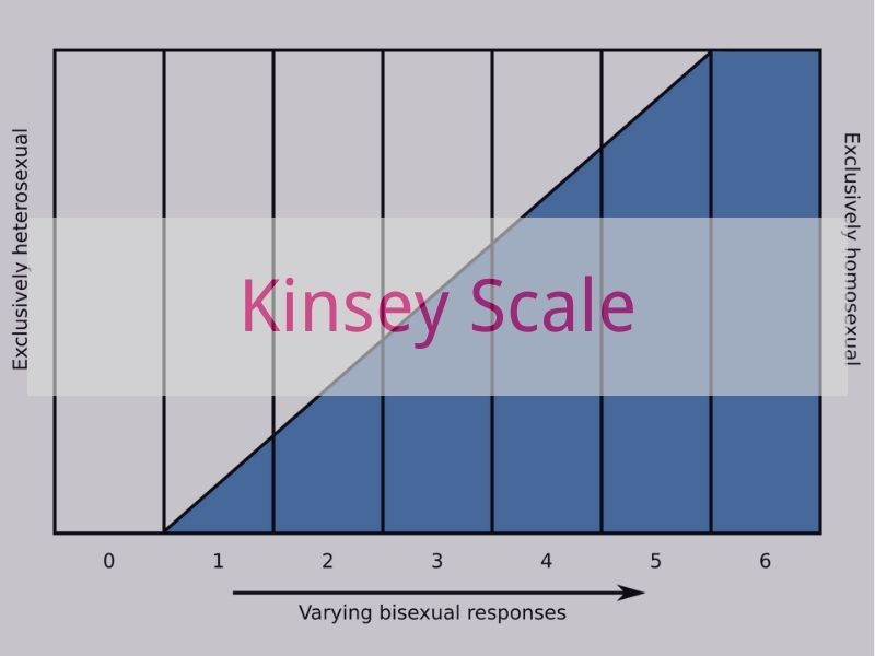 Kinsey Scale