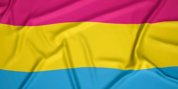 What is Pansexual