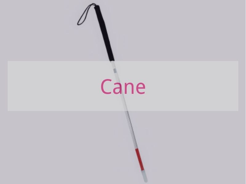 Cane