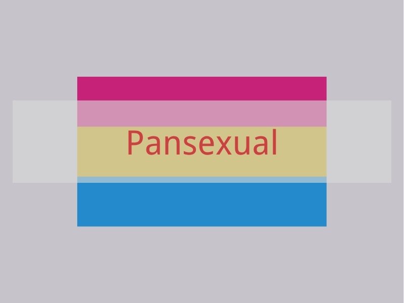 Pansexual
