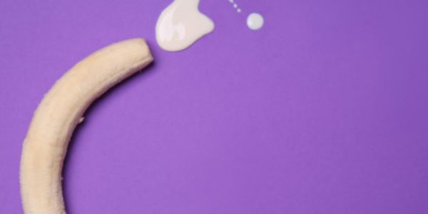 What is Electric Pony