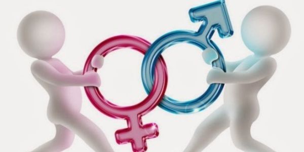 What is Gender Assignment