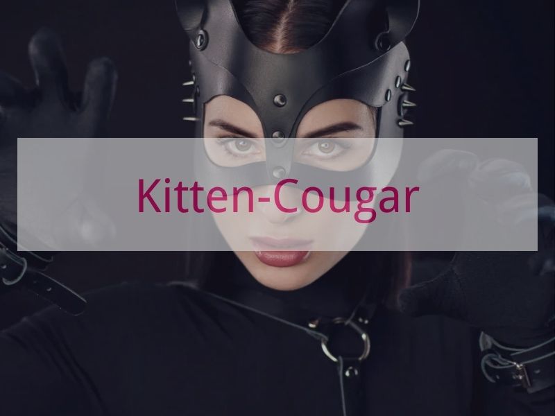 Kitten-Cougar