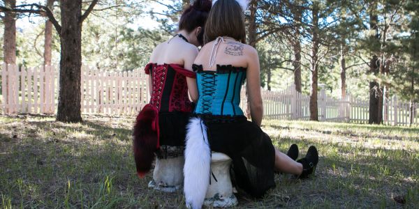 What is Kitten-Cougar