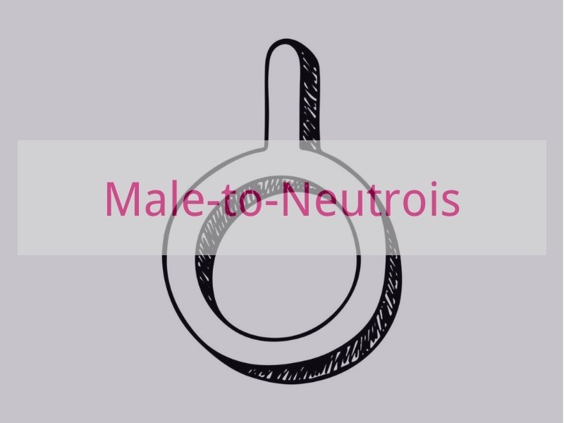 Male-to-Neutrois