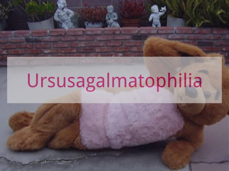 Ursusagalmatophilia