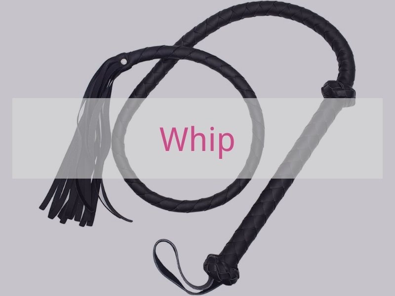 Whip
