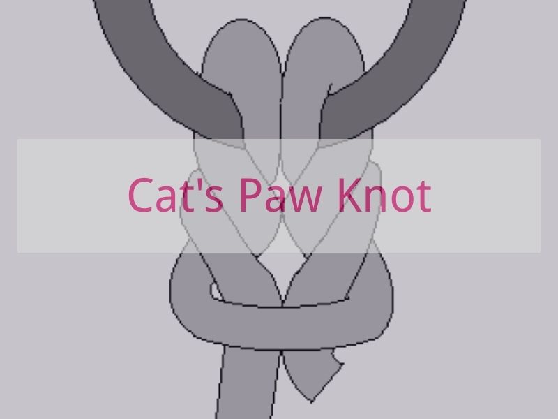 Cat's Paw Knot