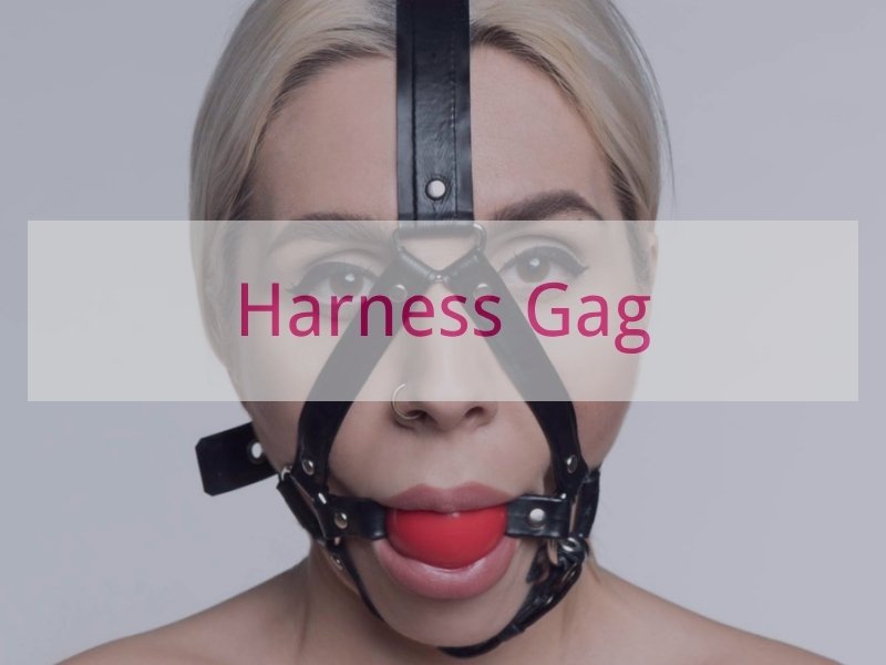 Harness Gag