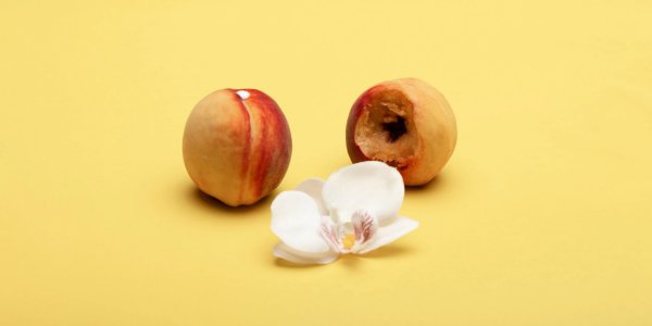 What is Klismaphilia